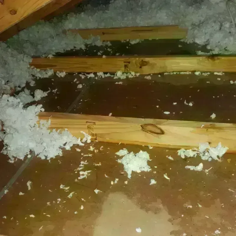 Attic Water Damage in Casey, IL