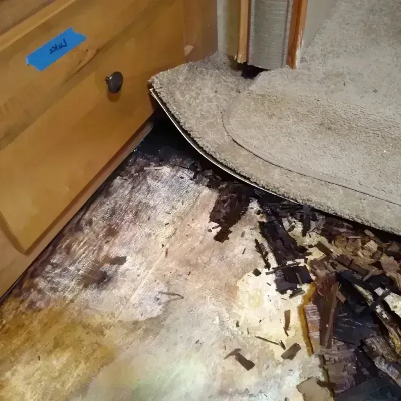 Best Wood Floor Water Damage Service in Casey, IL